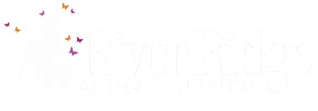 River Ridge Animal Hospital